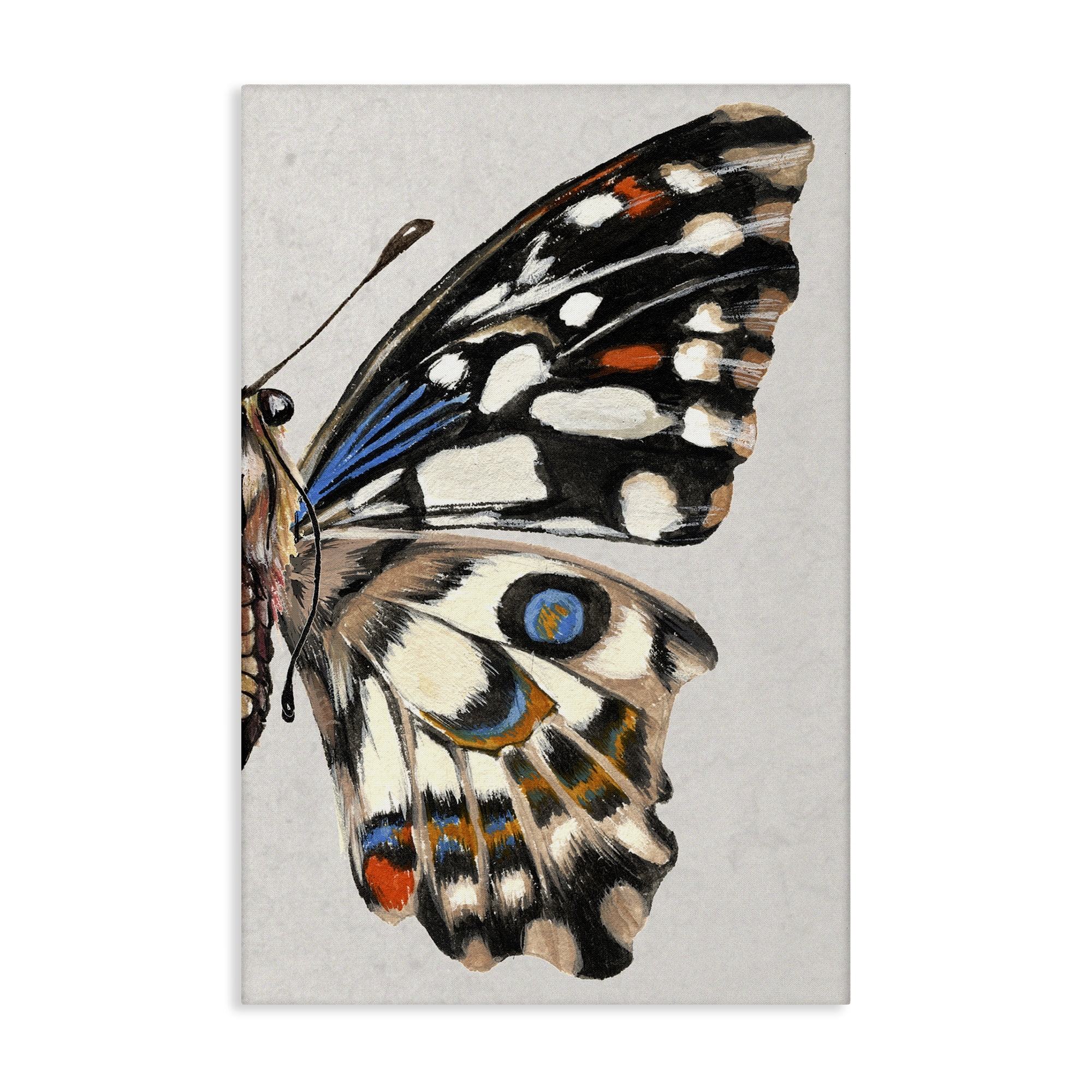 Stupell Industries Butterfly Wing with Spots Animals & Insects Painting Gallery Wrapped Canvas Art Print Wall Art, 20 x 30