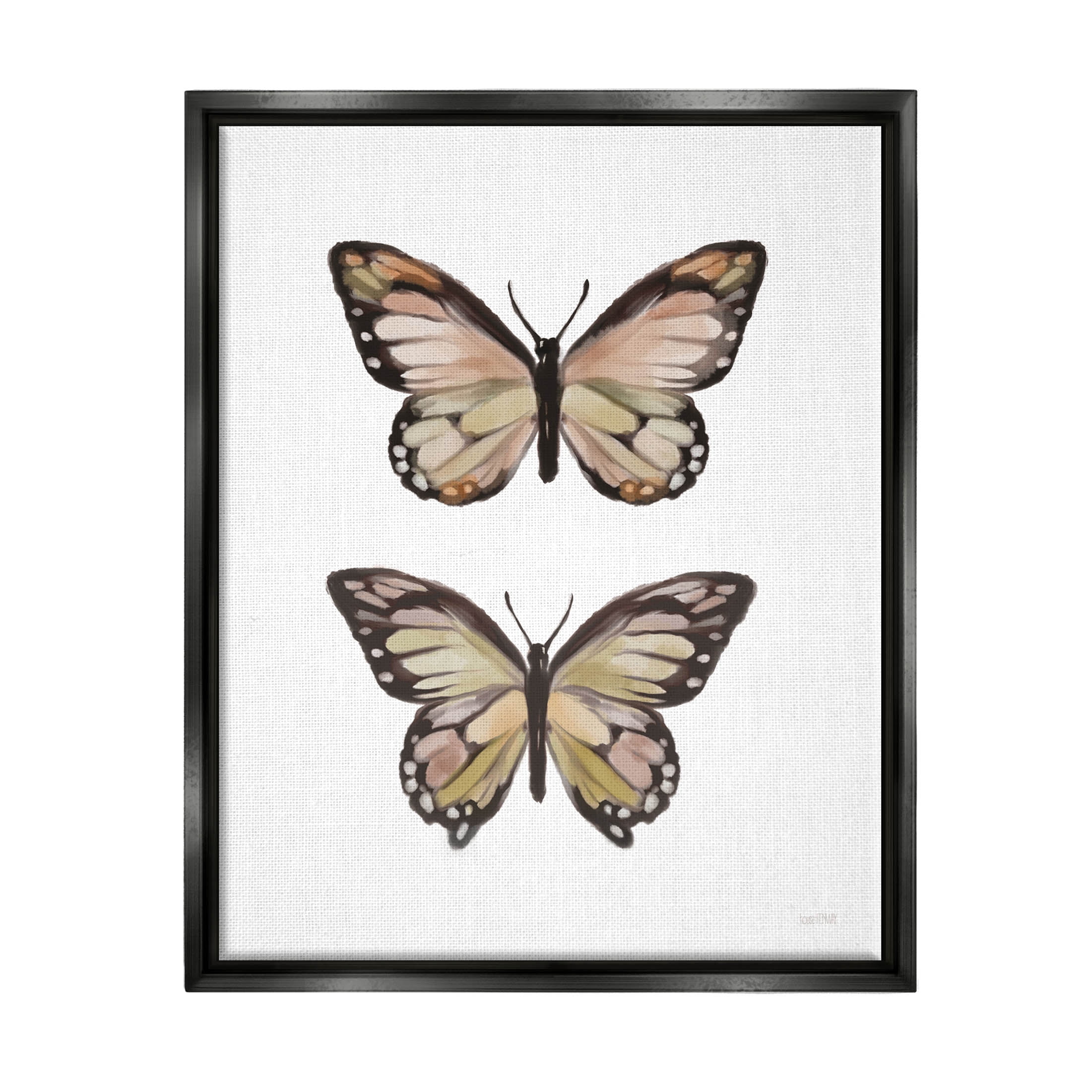 Stupell Industries Butterfly Wings Insect Portrait Graphic Art Jet Black Floating Framed Canvas Print Wall Art, Design by House Fenway