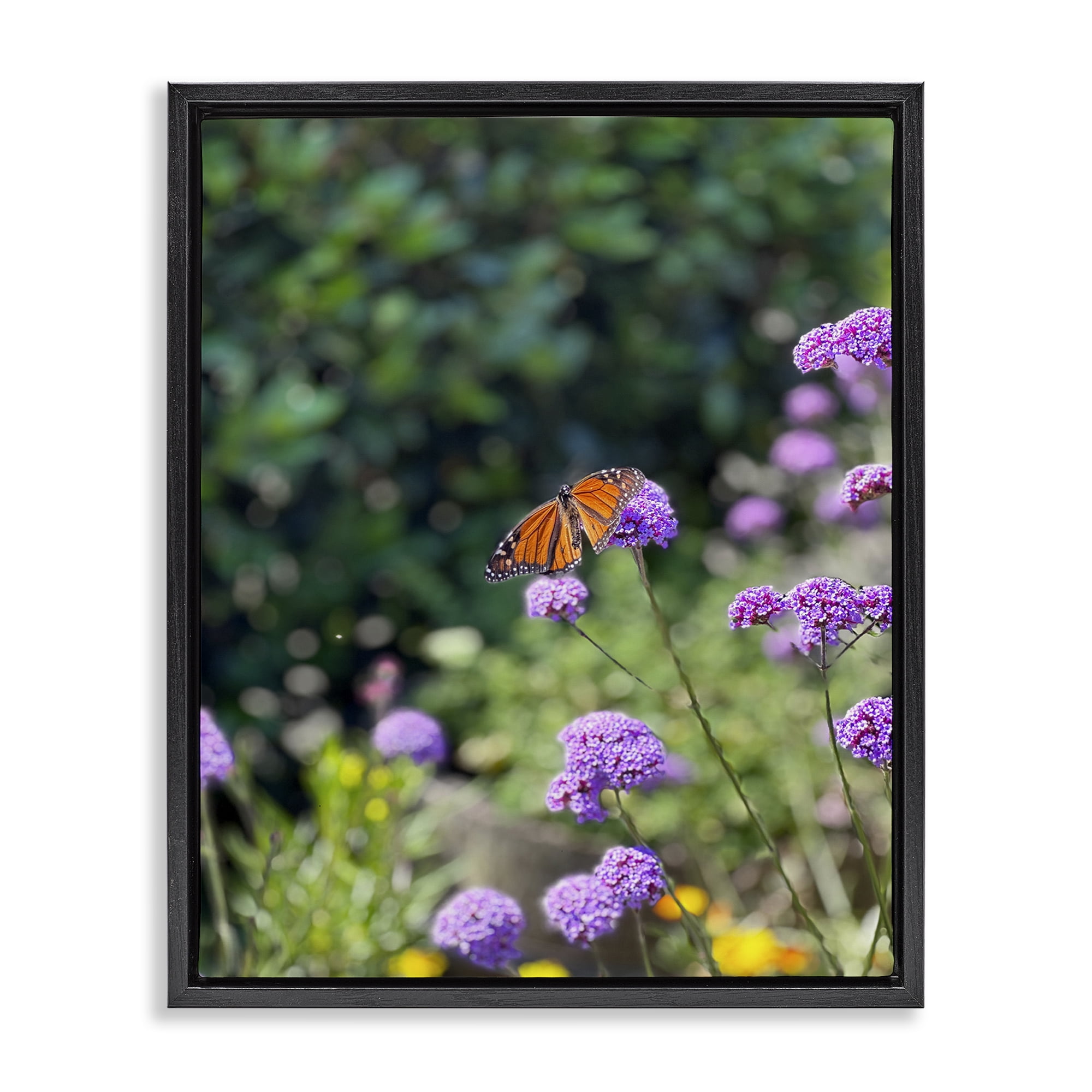 Stupell Industries Butterfly in Meadow Animals & Insects Photography Black Floater Framed Art Print Wall Art, 25 x 31