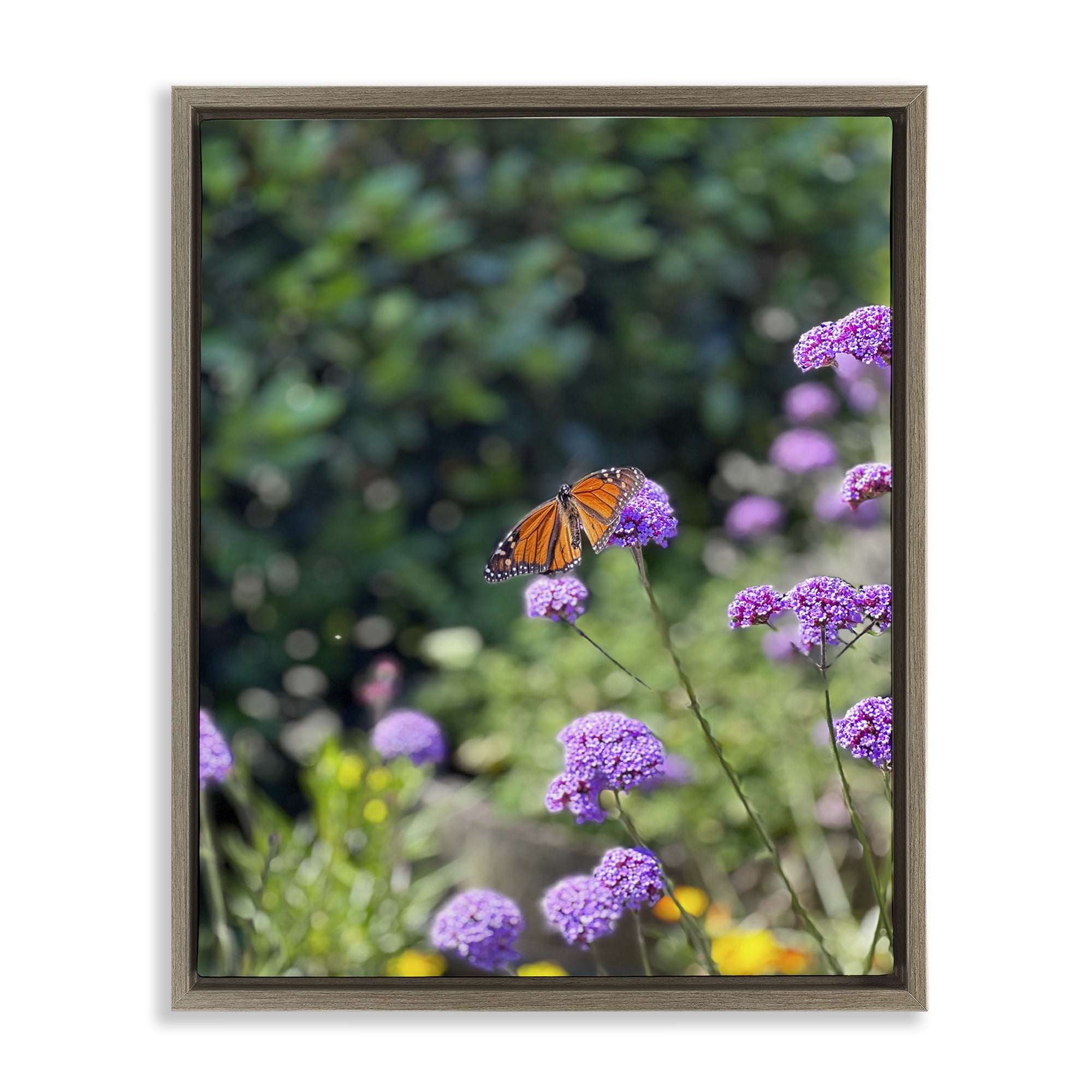 Stupell Industries Butterfly in Meadow Animals & Insects Photography Brown Floater Framed Art Print Wall Art, 25 x 31