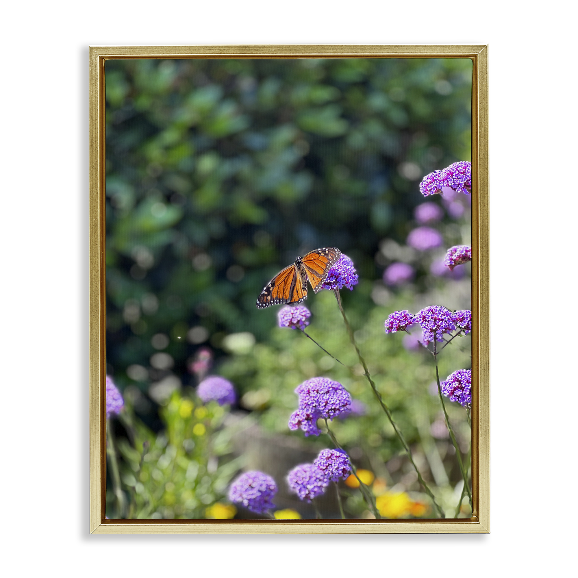 Stupell Industries Butterfly in Meadow Animals & Insects Photography Gold Floater Framed Art Print Wall Art, 17 x 21