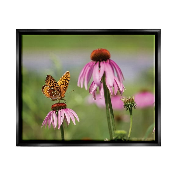 Stupell Industries Butterfly on Purple Flower Animals & Insects Photography Black Floater Framed Art Print Wall Art, 21 x 17