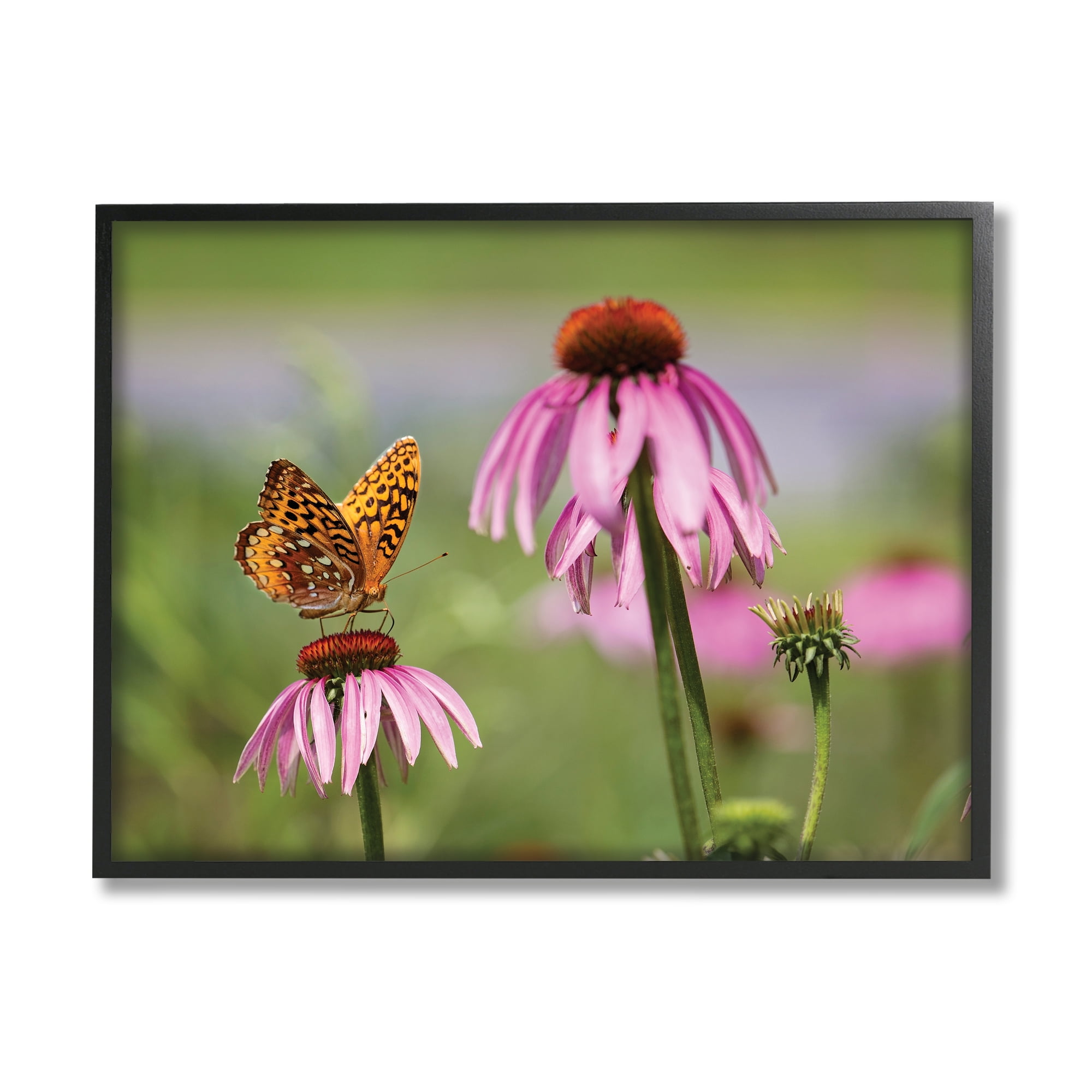 Stupell Industries Butterfly on Purple Flower Animals & Insects Photography Black Framed Art Print Wall Art, 14 x 11