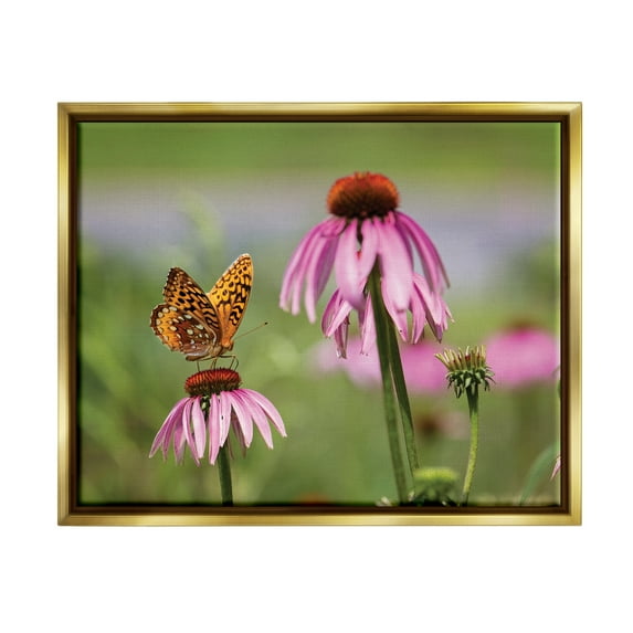 Stupell Industries Butterfly on Purple Flower Animals & Insects Photography Gold Floater Framed Art Print Wall Art, 31 x 25