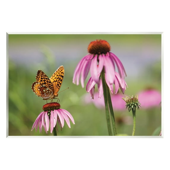 Stupell Industries Butterfly on Purple Flower Animals & Insects Photography Unframed Art Print Wall Art, 15 x 10