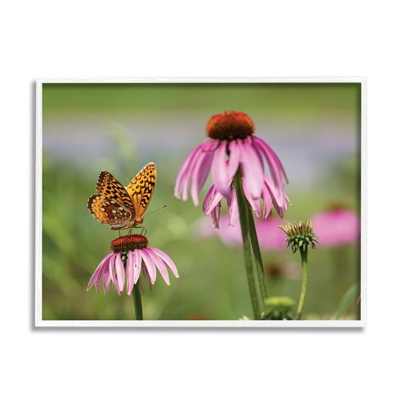 Stupell Industries Butterfly on Purple Flower Animals & Insects Photography White Framed Art Print Wall Art, 30 x 24