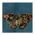 thumbnail image 1 of Stupell Industries Butterfly with Floral Wings Animals & Insects Painting Gallery Wrapped Canvas Art Print Wall Art, 24 x 24, 1 of 8