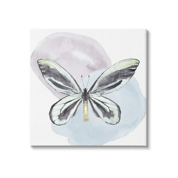 Stupell Industries Butterfly with Pastel Shapes Animals & Insects Painting Gallery Wrapped Canvas Art Print Wall Art, 36 x 36