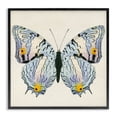 thumbnail image 1 of Stupell Industries Victorian Butterfly with Yellow Details Black Framed Giclee Art, 17 x 17, by Susan Arnot, 1 of 8
