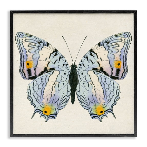 Stupell Industries Victorian Butterfly with Yellow Details Black Framed Giclee Art, 17 x 17, by Susan Arnot