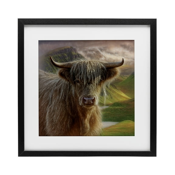 Stupell Industries Butterscotch Highland Cow Black Framed Print Under Glass design by Collin Bogle, 13 x 13