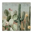 thumbnail image 1 of Stupell Industries Shabby Chic Cacti Blooms Among Thorns Canvas Art, 36 x 36, by Luna Mavis, 1 of 7