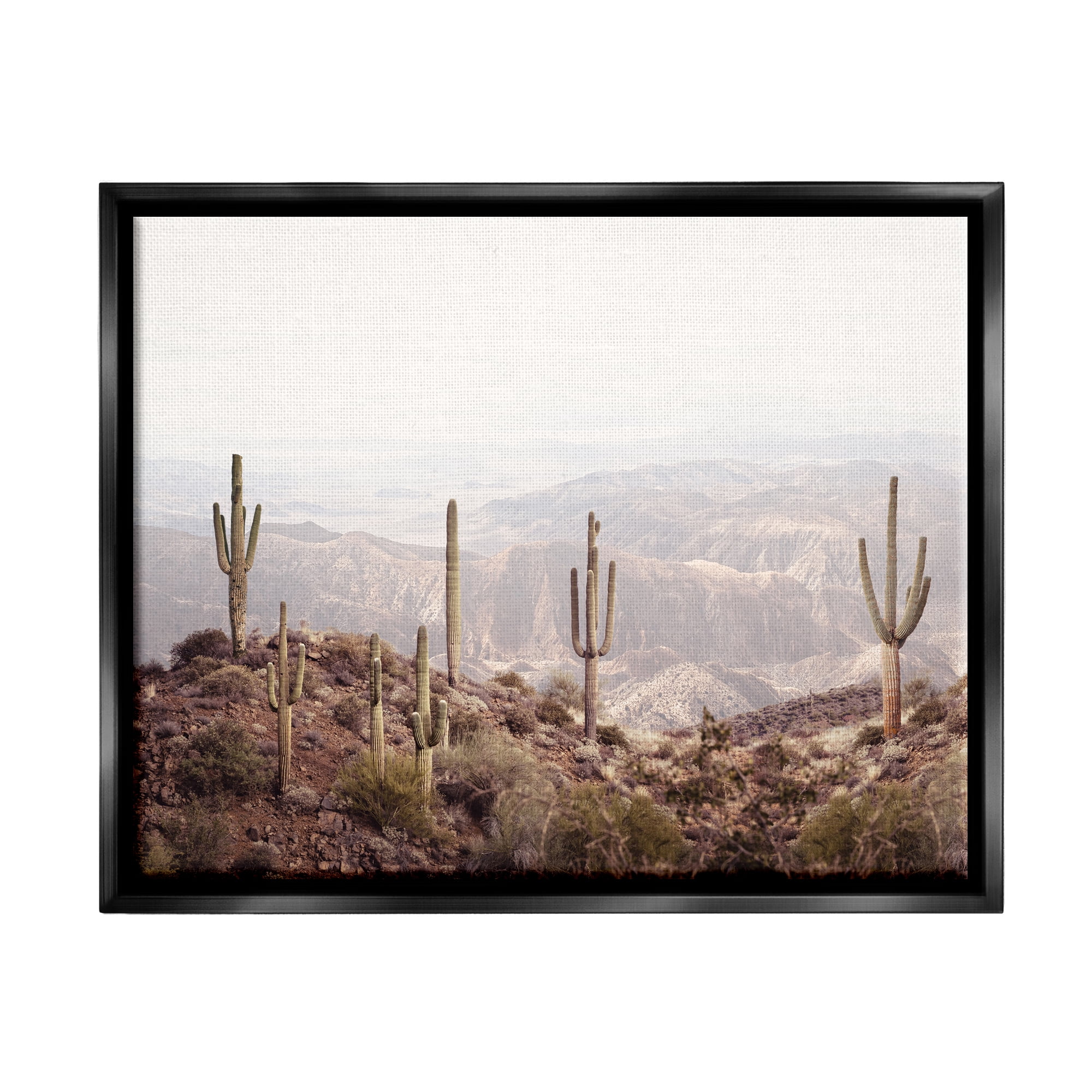 Stupell Industries Cacti Overlooking Desert Nature Photography Black Floater Framed Art Print Wall Art, 31 x 25