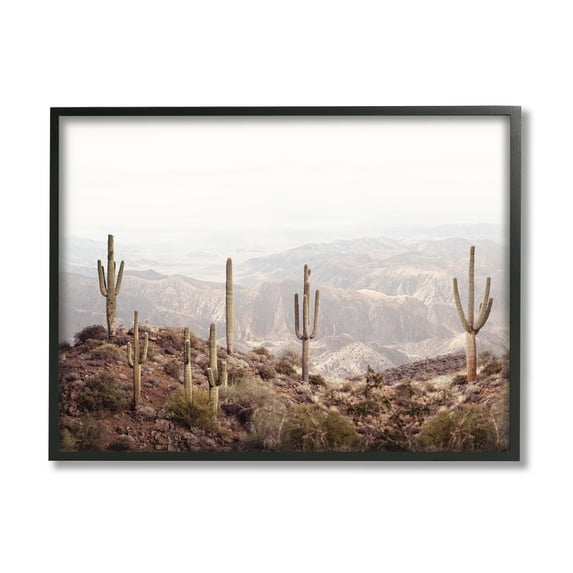 Stupell Industries Cacti Overlooking Desert Nature Photography Black Framed Art Print Wall Art, 20 x 16