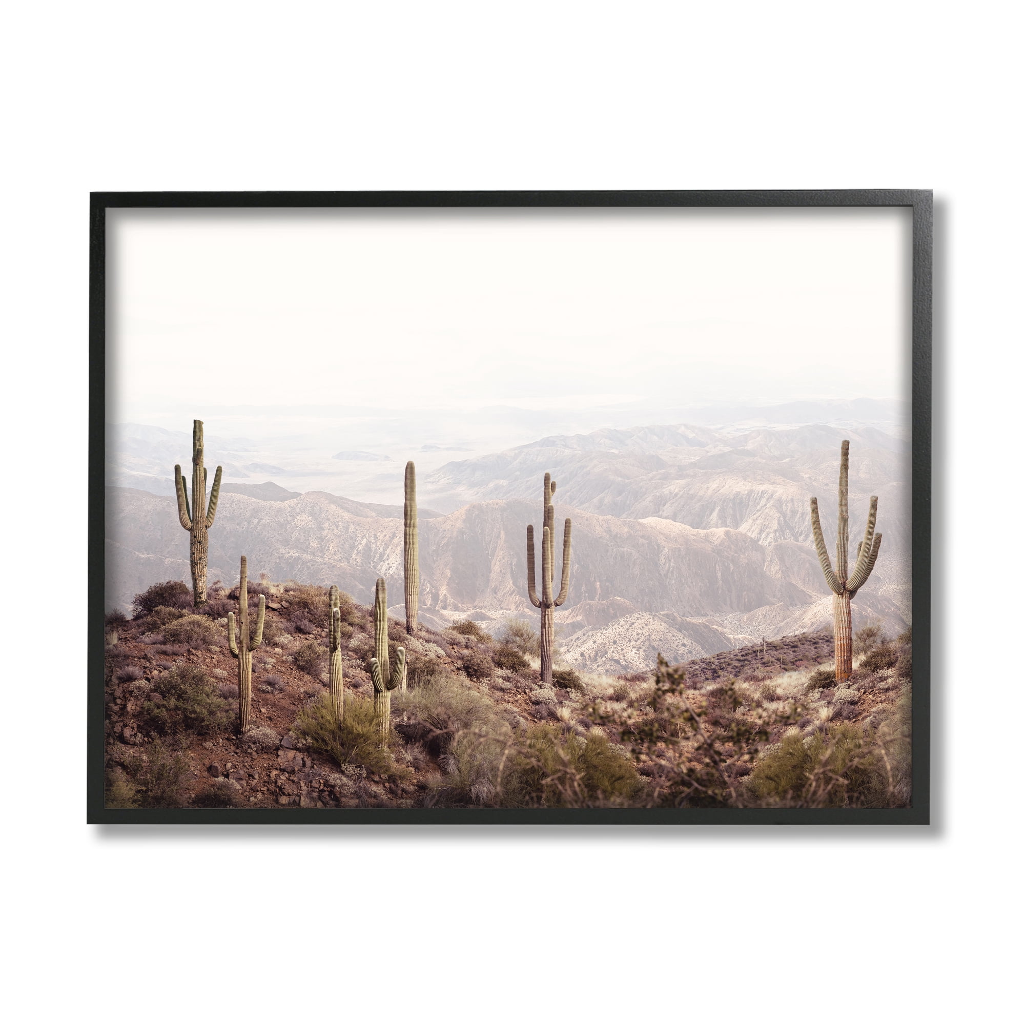 Stupell Industries Cacti Overlooking Desert Nature Photography Black Framed Art Print Wall Art, 30 x 24