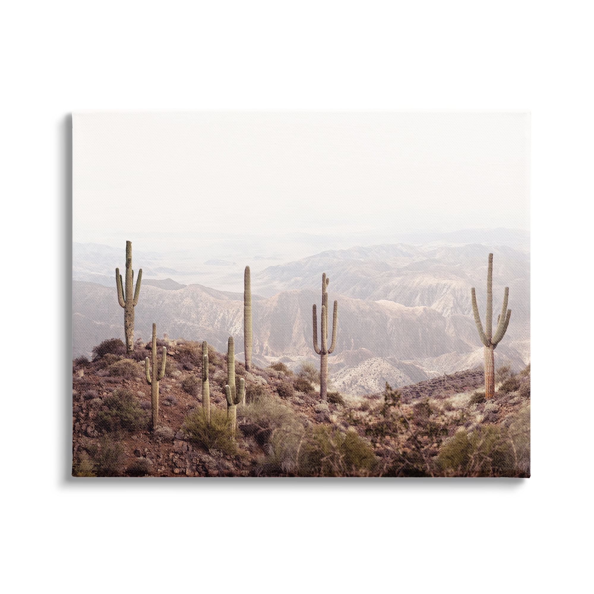 Stupell Industries Cacti Overlooking Desert Nature Photography Gallery Wrapped Canvas Print Wall Art, 30 x 24