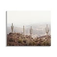 thumbnail image 1 of Stupell Industries Cacti Overlooking Desert Nature Photography Gallery Wrapped Canvas Print Wall Art, 30 x 24, 1 of 7