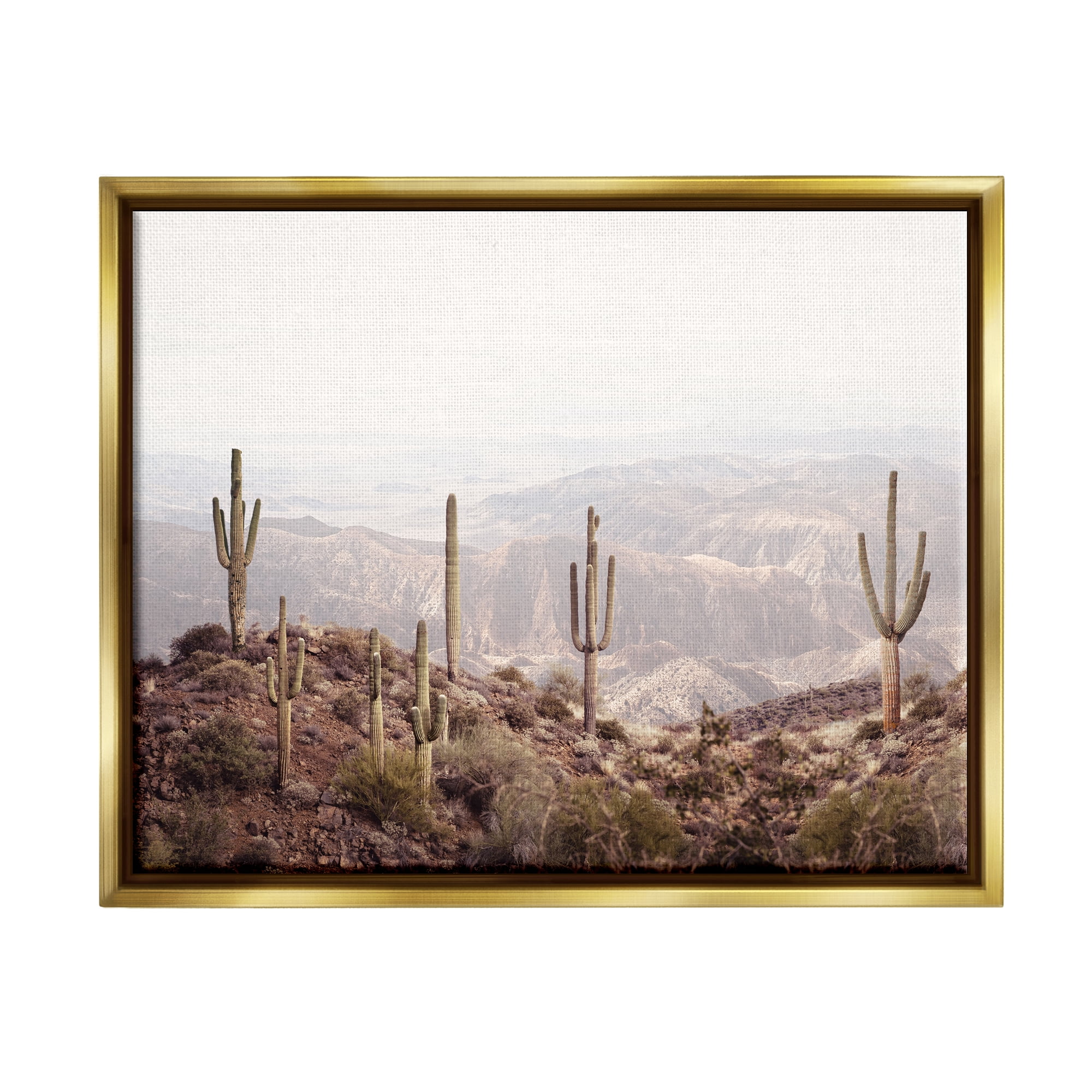 Stupell Industries Cacti Overlooking Desert Nature Photography Gold Floater Framed Art Print Wall Art, 21 x 17