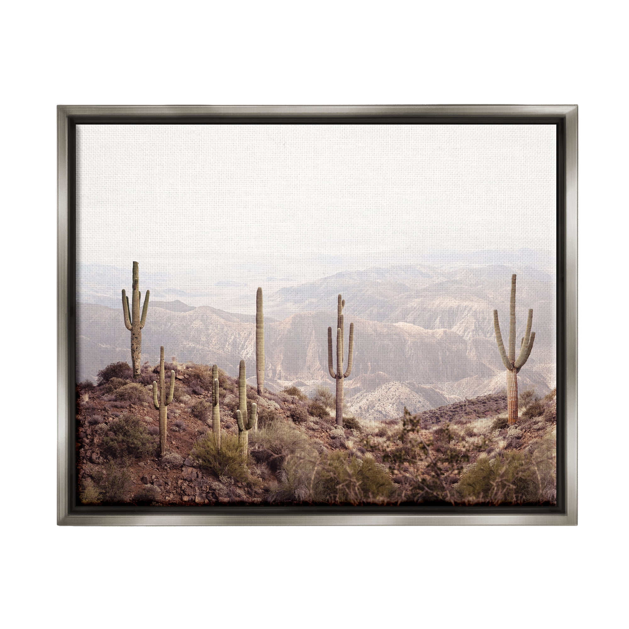 Stupell Industries Cacti Overlooking Desert Nature Photography Gray Floater Framed Art Print Wall Art, 31 x 25
