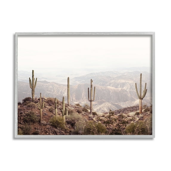 Stupell Industries Cacti Overlooking Desert Nature Photography Gray Framed Art Print Wall Art, 30 x 24