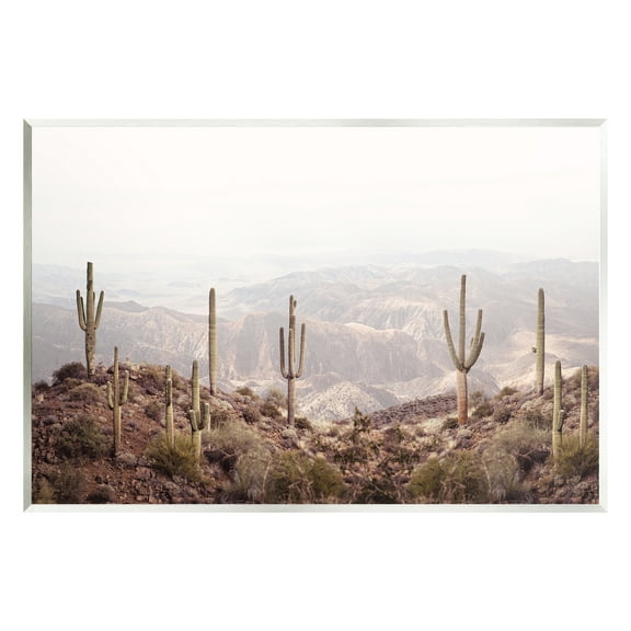 Stupell Industries Cacti Overlooking Desert Nature Photography Unframed Art Print Wall Art, 15 x 10