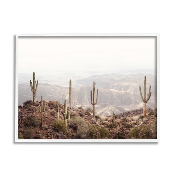 Stupell Industries Cacti Overlooking Desert Nature Photography White Framed Art Print Wall Art, 20 x 16