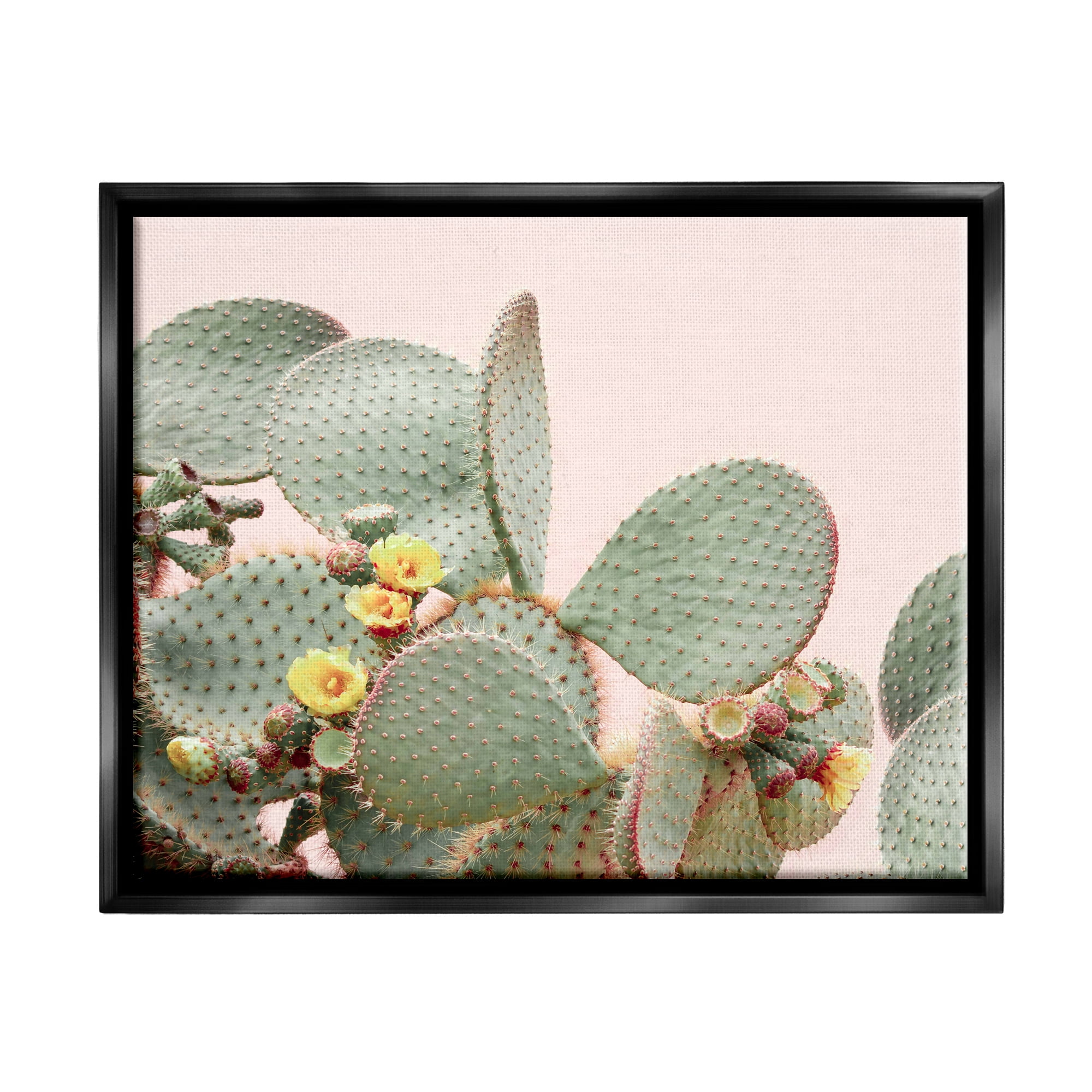 Stupell Industries Cactus Flowers on Pink Botanical & Floral Photography Black Floater Framed Art Print Wall Art, 31 x 25