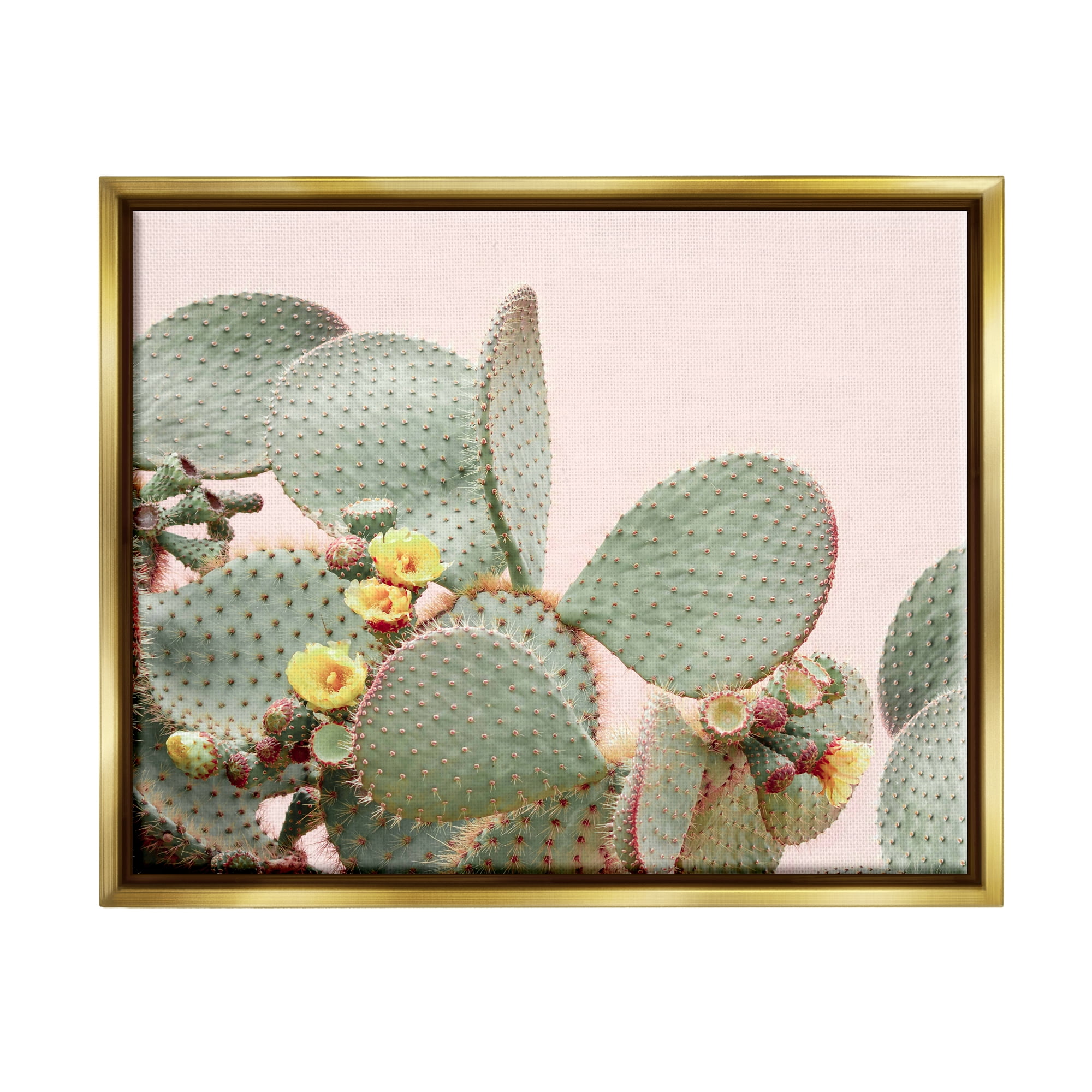 Stupell Industries Cactus Flowers on Pink Botanical & Floral Photography Gold Floater Framed Art Print Wall Art, 21 x 17