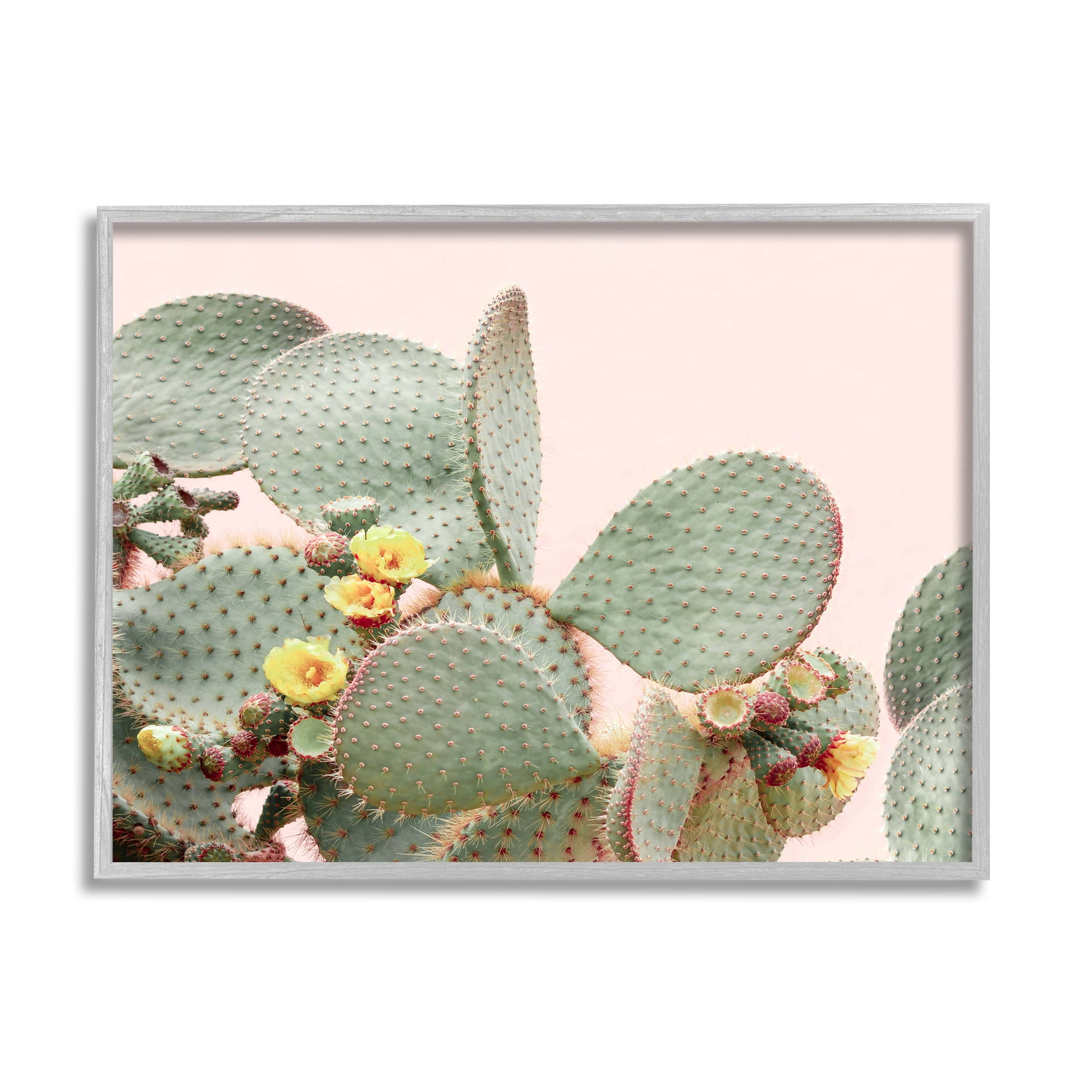 Stupell Industries Cactus Flowers on Pink Botanical & Floral Photography Gray Framed Art Print Wall Art, 30 x 24