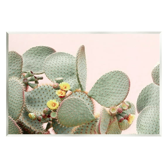Stupell Industries Cactus Flowers on Pink Botanical & Floral Photography Unframed Art Print Wall Art, 15 x 10