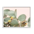 thumbnail image 1 of Stupell Industries Cactus Flowers on Pink Botanical & Floral Photography White Framed Art Print Wall Art, 14 x 11, 1 of 8
