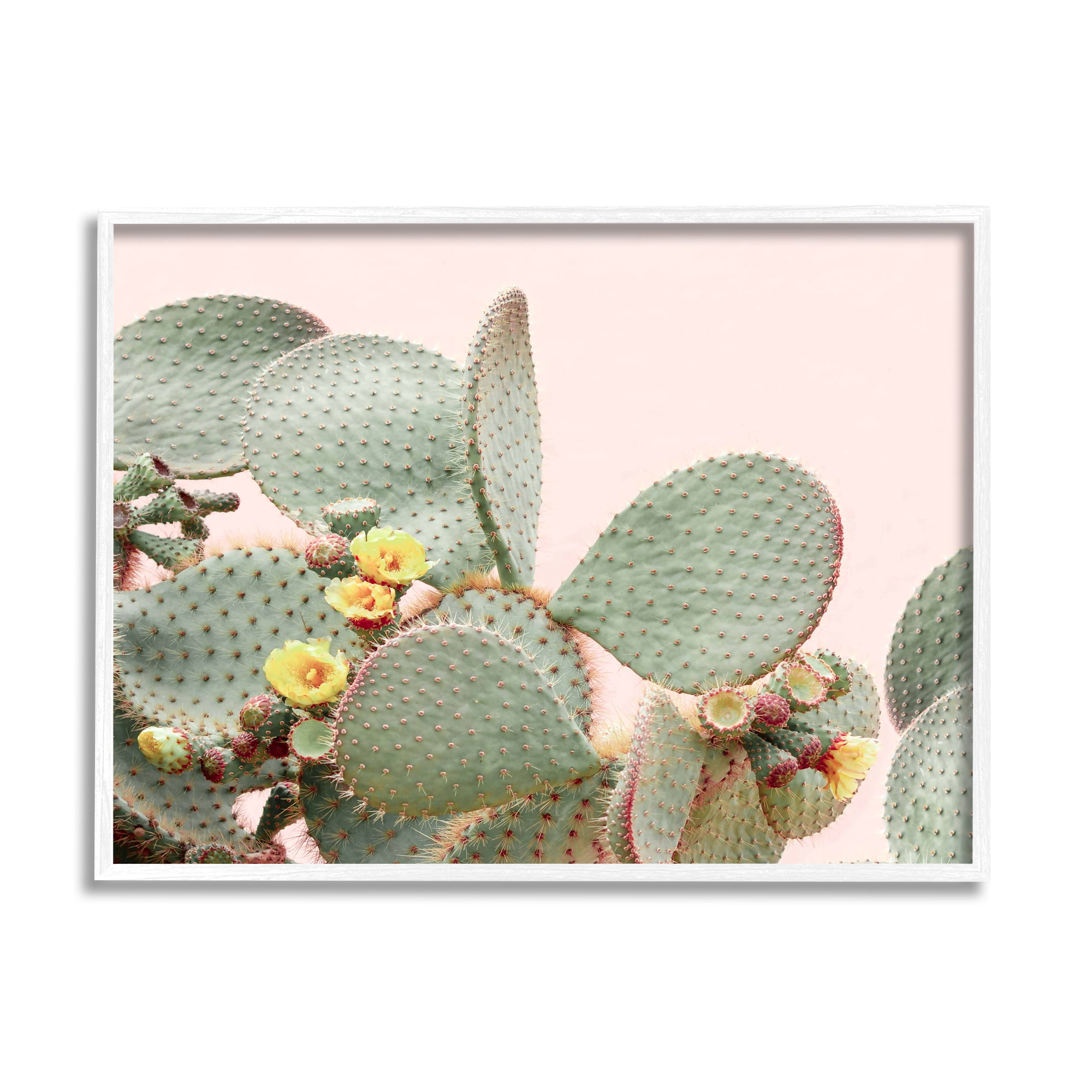 Stupell Industries Cactus Flowers on Pink Botanical & Floral Photography White Framed Art Print Wall Art, 30 x 24