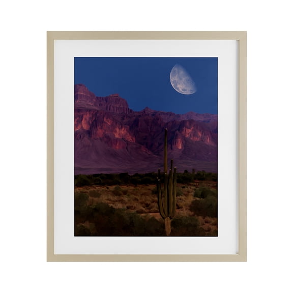 Stupell Industries Cactus In The Mountains Birch Framed Print Under Glass design by Renel Peters, 21 x 17