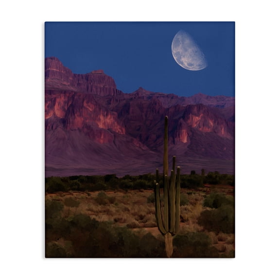 Stupell Industries Cactus In The Mountains Canvas Wall Art design by Renel Peters, 30 x 24