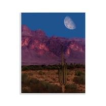 Stupell Industries Cactus In The Mountains Wall Plaque Art design by Renel Peters, 14 x 11