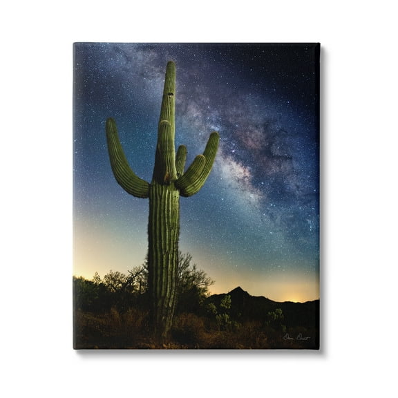 Stupell Industries Cactus & Nebula Photography Fairy Tales & Fantasy Photography Gallery Wrapped Canvas Print Wall Art, 16 x 20