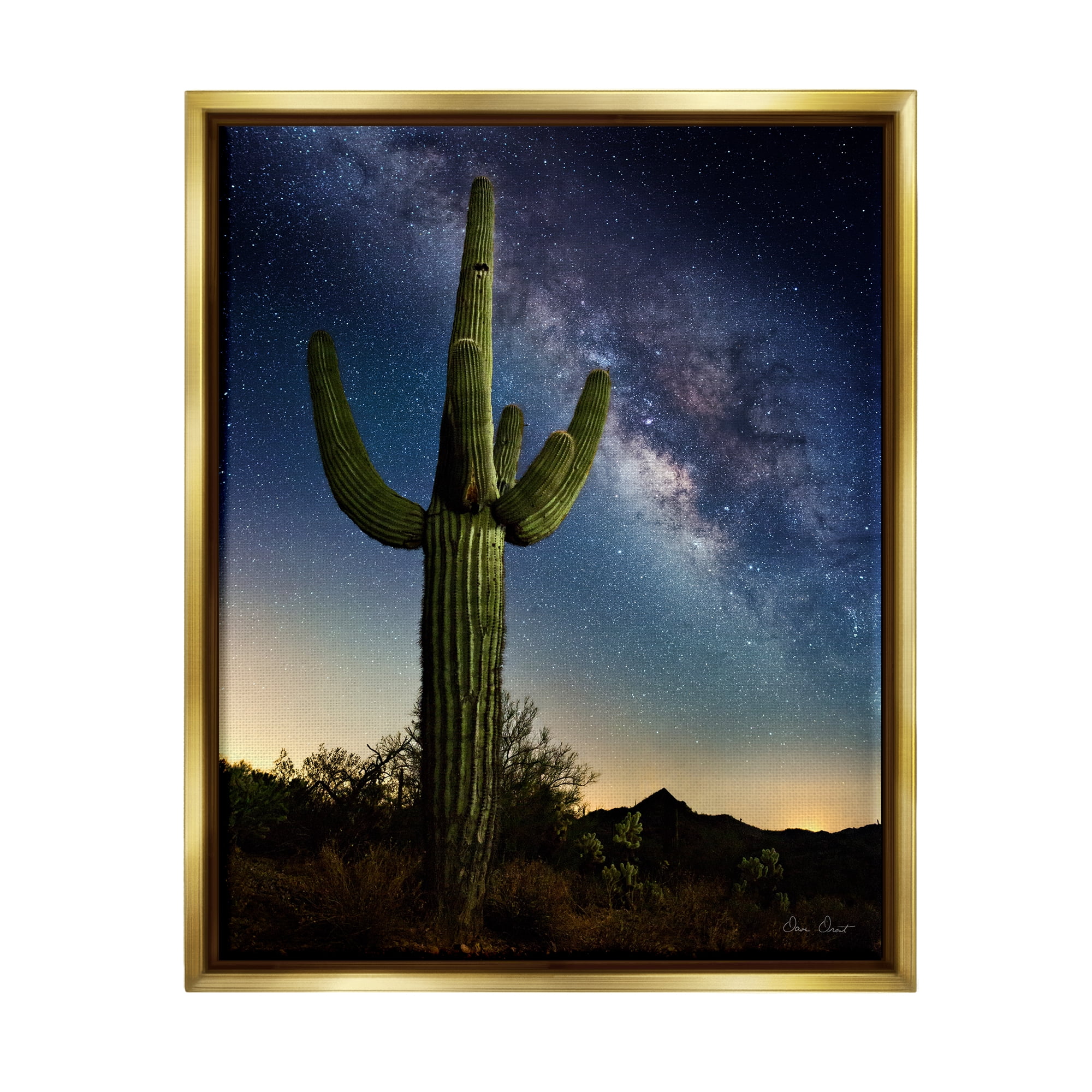 Stupell Industries Cactus & Nebula Photography Fairy Tales & Fantasy Photography Gold Floater Framed Art Print Wall Art, 25 x 31
