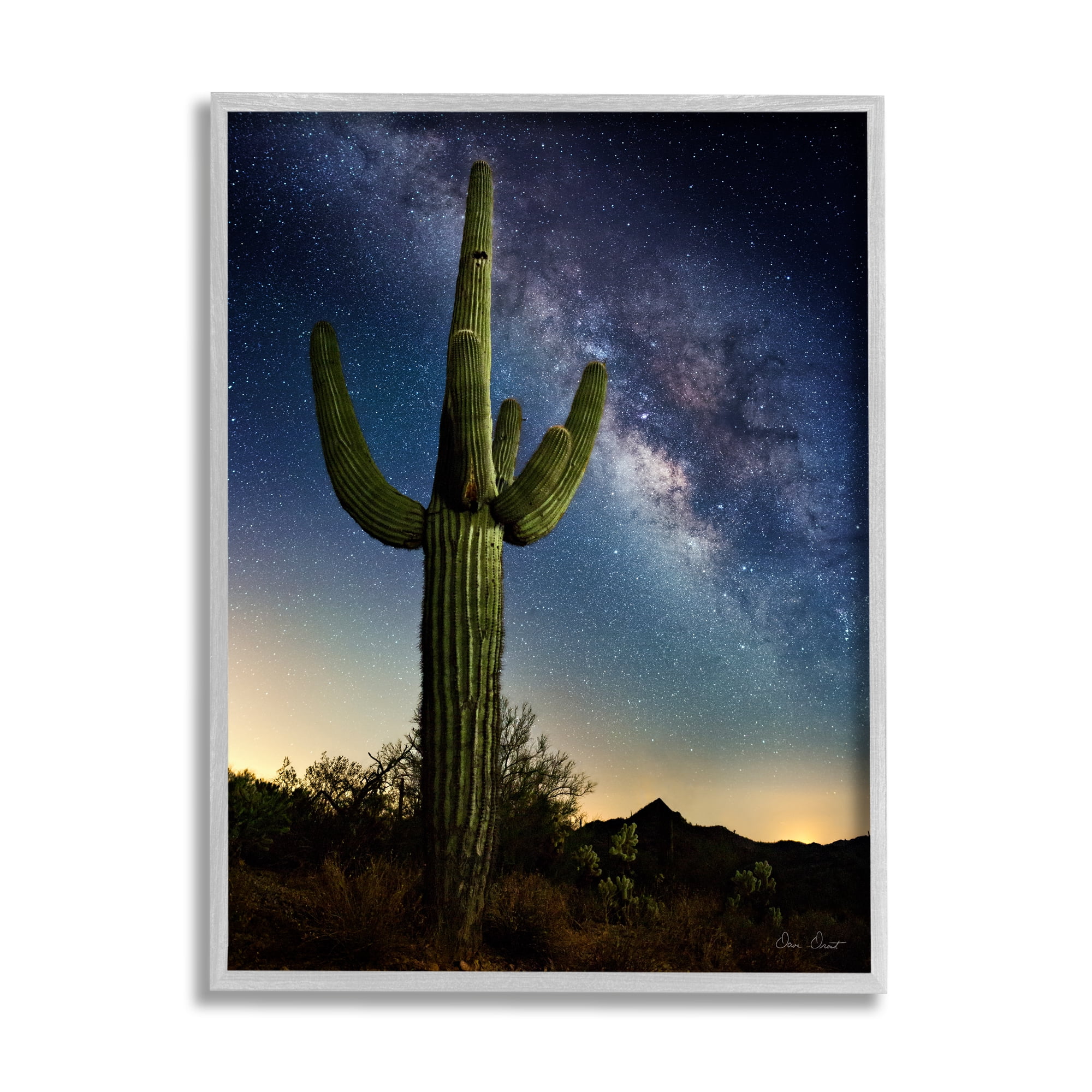 Stupell Industries Cactus & Nebula Photography Fairy Tales & Fantasy Photography Gray Framed Art Print Wall Art, 11 x 14