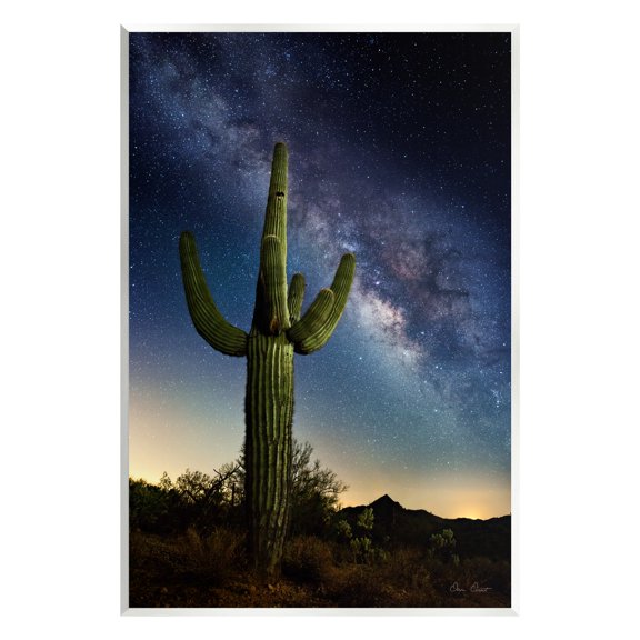 Stupell Industries Cactus & Nebula Photography Fairy Tales & Fantasy Photography Unframed Art Print Wall Art, 10 x 15