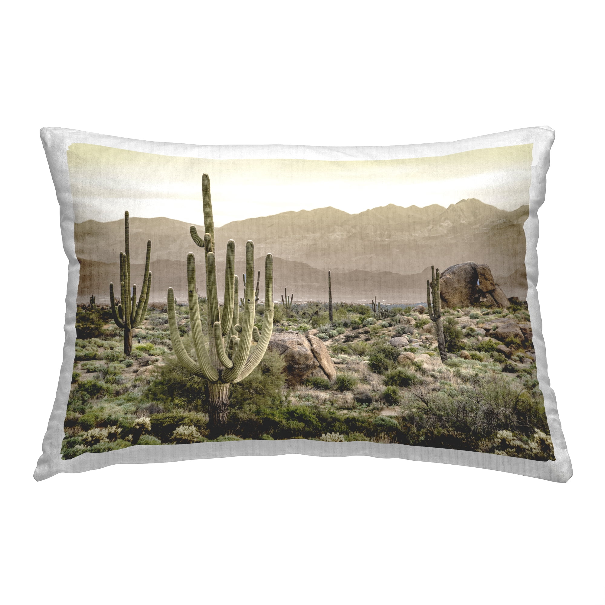 Stupell Industries Cactus in Arid Desert Decorative Printed Throw Pillow, 14 x 20