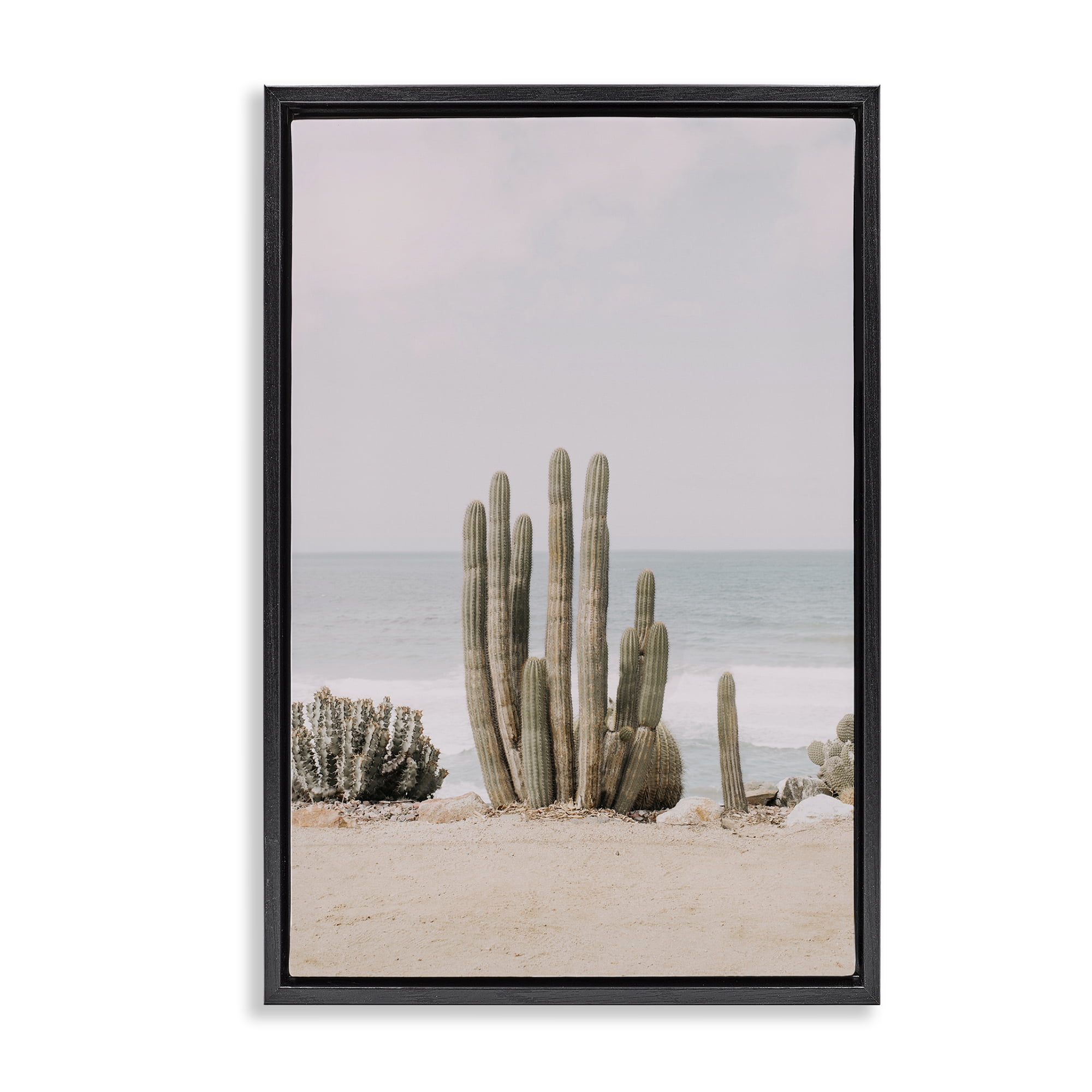 Stupell Industries Cactus on Beach Shore Landscape & Nature Photography Black Floater Framed Canvas Art Print Wall Art, 21 x 31