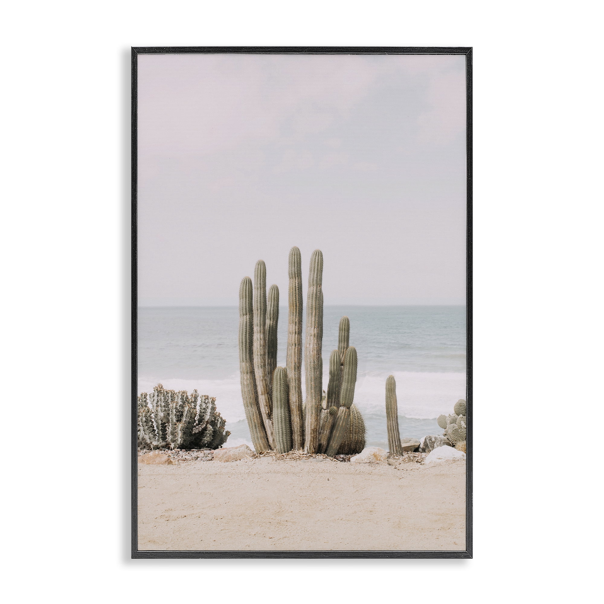 Stupell Industries Cactus on Beach Shore Landscape & Nature Photography Black Framed Art Print Wall Art, 16 x 24
