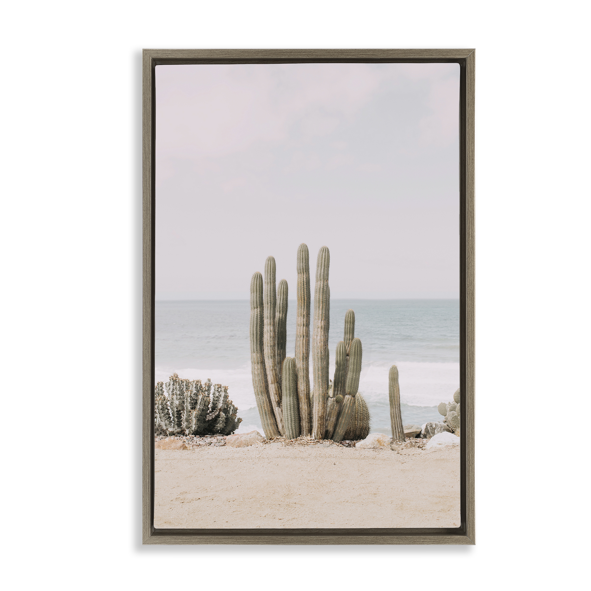 Stupell Industries Cactus on Beach Shore Landscape & Nature Photography Brown Floater Framed Canvas Art Print Wall Art, 17 x 25