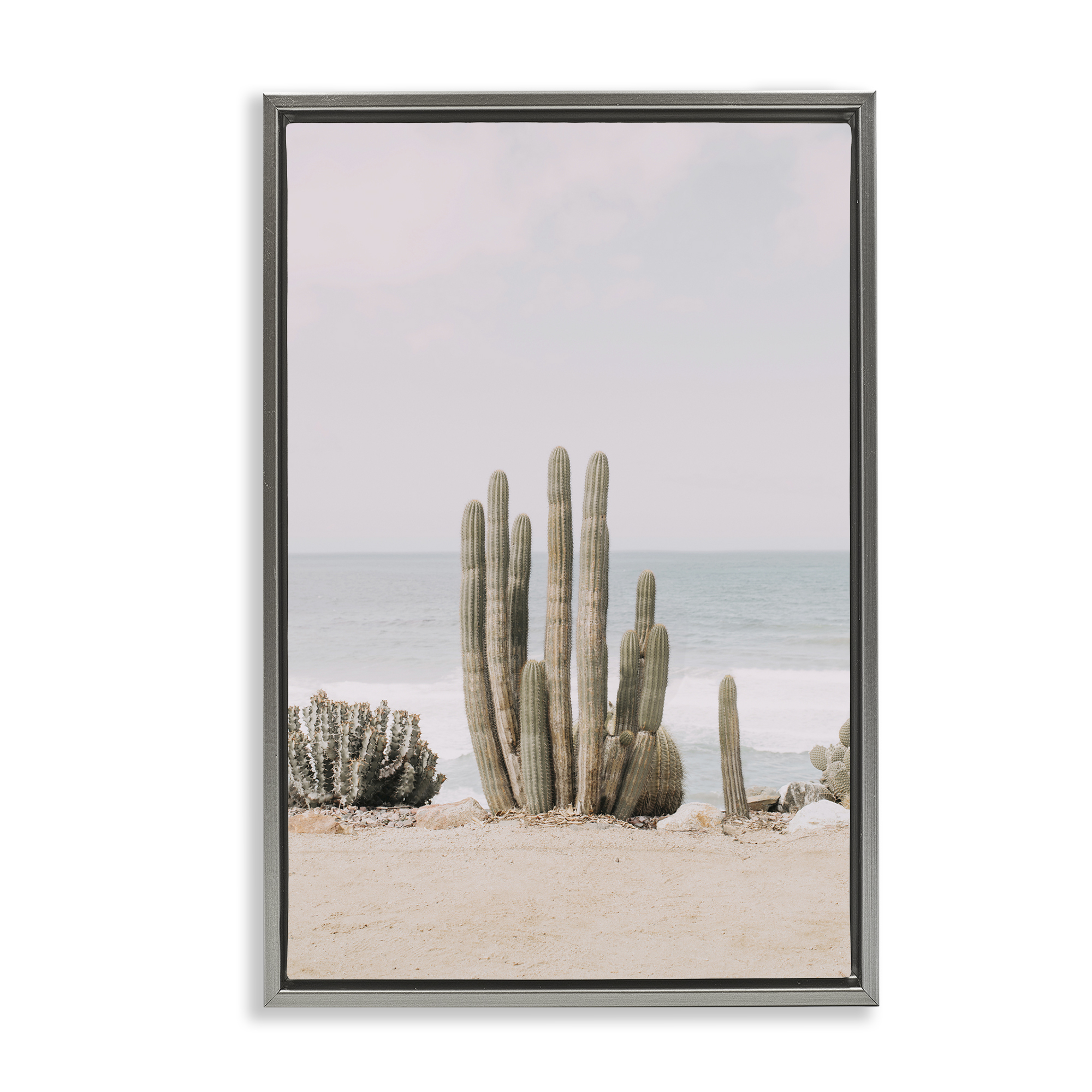 Stupell Industries Cactus on Beach Shore Landscape & Nature Photography Gray Floater Framed Canvas Art Print Wall Art, 21 x 31