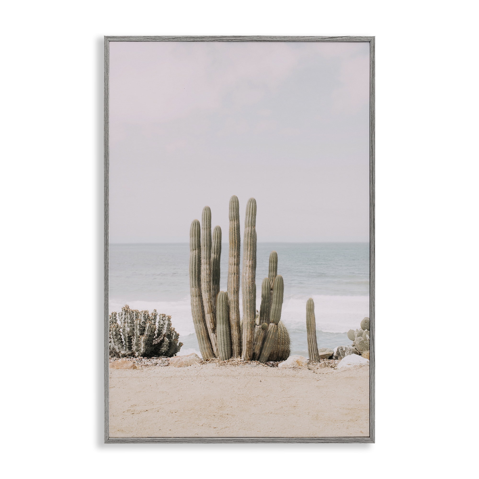 Stupell Industries Cactus on Beach Shore Landscape & Nature Photography Gray Framed Art Print Wall Art, 16 x 24