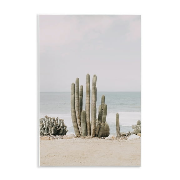 Stupell Industries Cactus on Beach Shore Landscape & Nature Photography Unframed Art Print Wall Art, 10 x 15