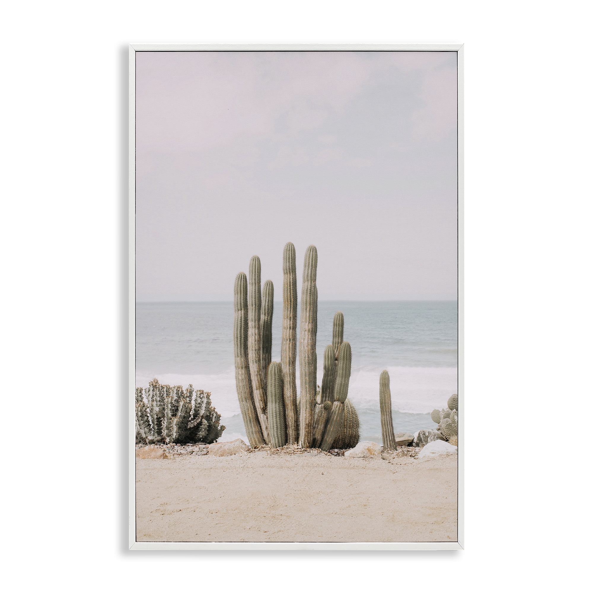 Stupell Industries Cactus on Beach Shore Landscape & Nature Photography White Framed Art Print Wall Art, 20 x 30