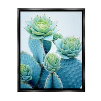 Stupell Industries Cactus with Succulent Blooms Botanical & Floral Painting Black Floater Framed Canvas Art Print Wall Art, 17 x 21