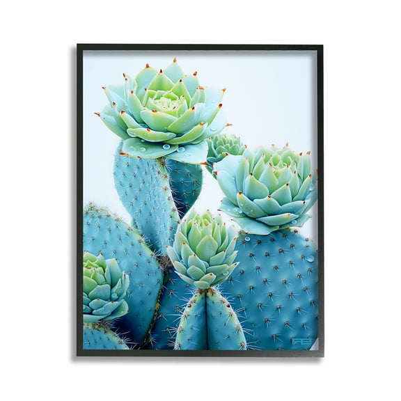 Stupell Industries Cactus with Succulent Blooms Botanical & Floral Painting Black Framed Art Print Wall Art, 11 x 14
