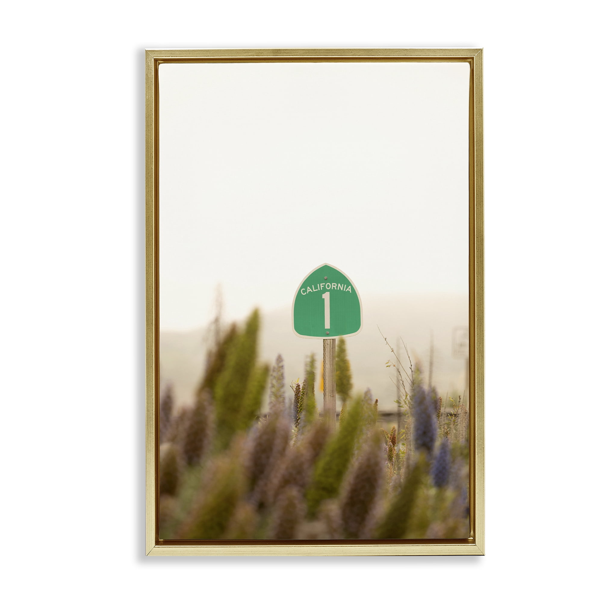 Stupell Industries California Road Sign View Landscape & Nature Photography Gold Floater Framed Canvas Art Print Wall Art, 21 x 31